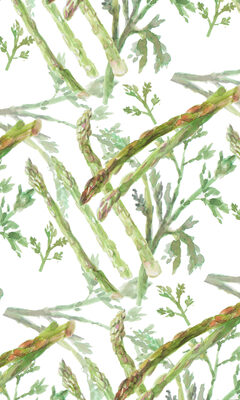 Image Not Available